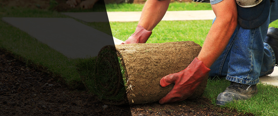 Ramseur Landscapers